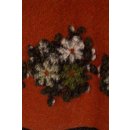 Damen Woll-Rock Glocken-Rock Stretch-Bund Winter Mehrere Farben One Size 38-42 rost