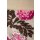 Woll-Rock Damen Kurz Stretch-Bund Winter Viele Farben 40 42 beige/blumen